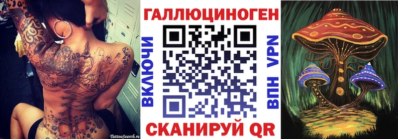 купить   МЕГА ТОР  Галлюциногенные грибы Cubensis  Беслан 