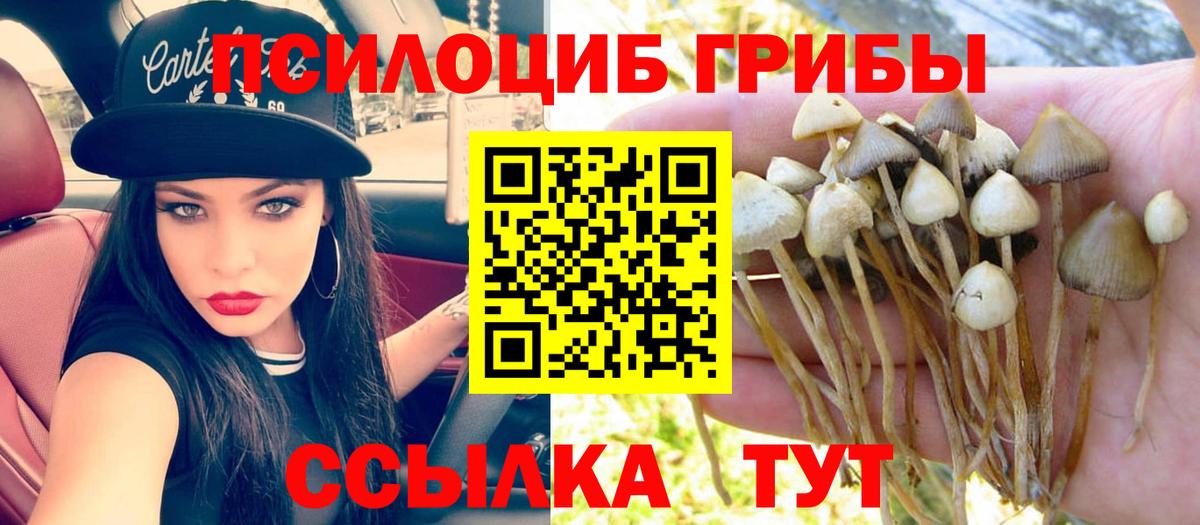 Галлюциногенные грибы ЛСД Беслан