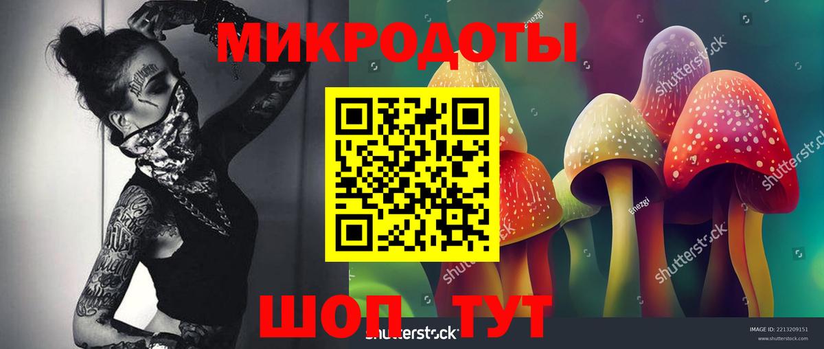 Галлюциногенные грибы мицелий  Псилоцибиновые грибы Psilocybe  Беслан 